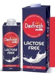 DayFresh Lactose Free – 200ml