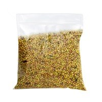 Coriander Whole (Dhania) – 100gm