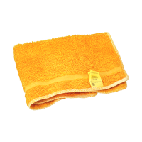 Assorted Colour Towel Duster