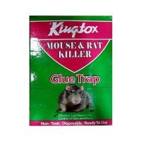 Kingtox Rat Killer Glue Trap